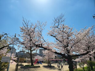 大正駅 徒歩5分 3階の物件内観写真